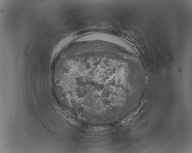 X0000062150149200601060958