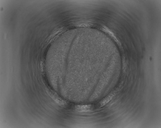 X0000062150161200601060958