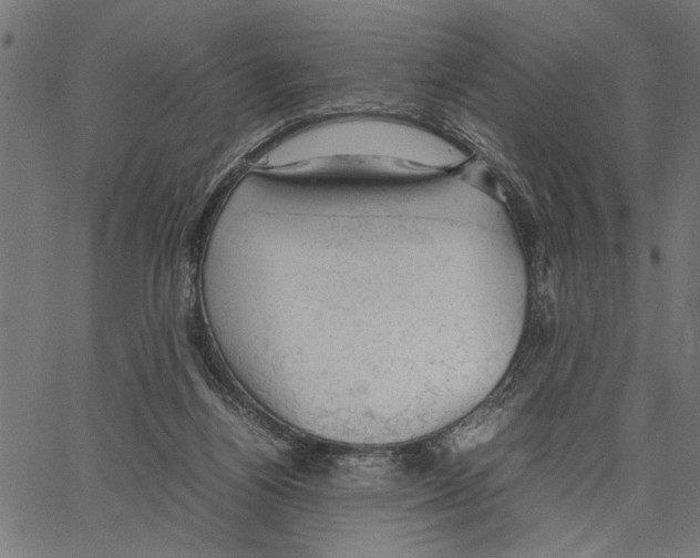 X0000062150164200601060958