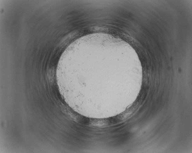 X0000062150189200601060958