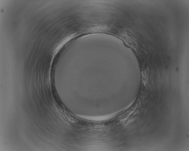 X0000062150196200601060958