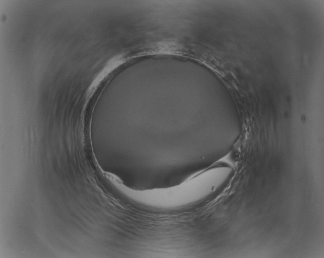 X0000062150200200601060957