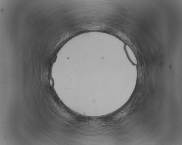 X0000062150201200601060957