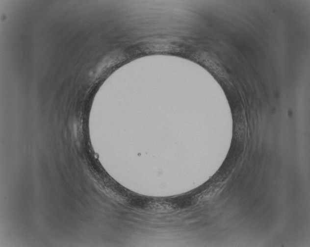 X0000062150207200601060957