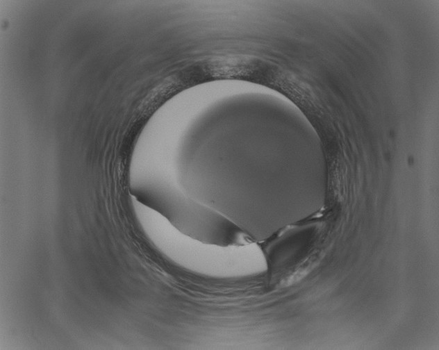 X0000062150219200601060957
