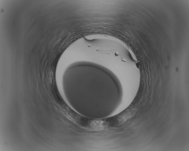 X0000062150227200601060957