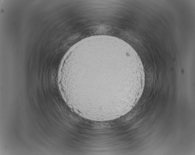 X0000062150230200601060957