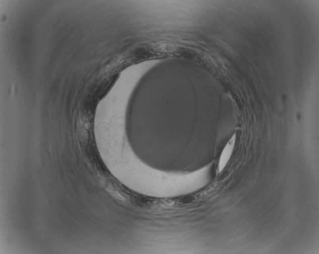 X0000062150235200601060957
