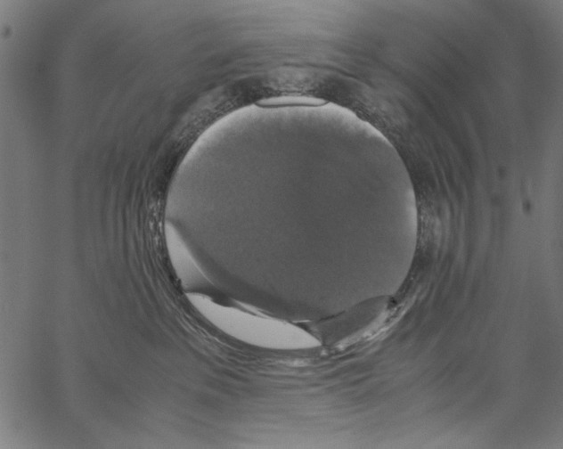X0000062150237200601060957