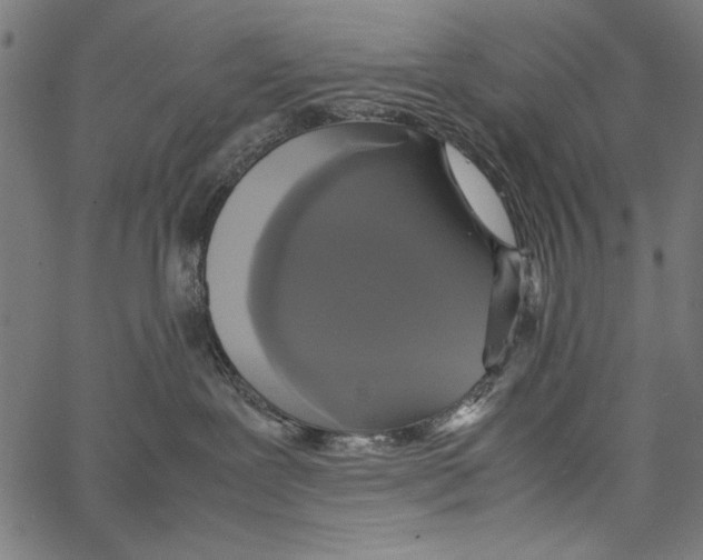 X0000062150239200601060957