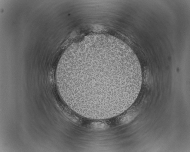 X0000062150272200601060957