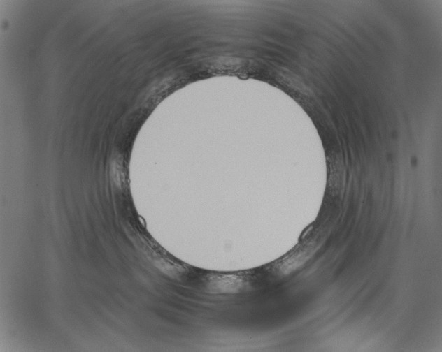 X0000062150287200601060957