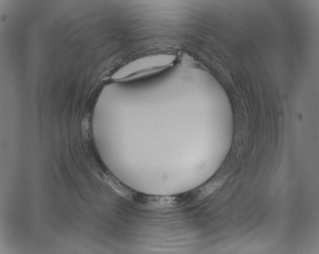 X0000062150288200601060957