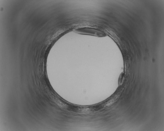 X0000062150301200601060956