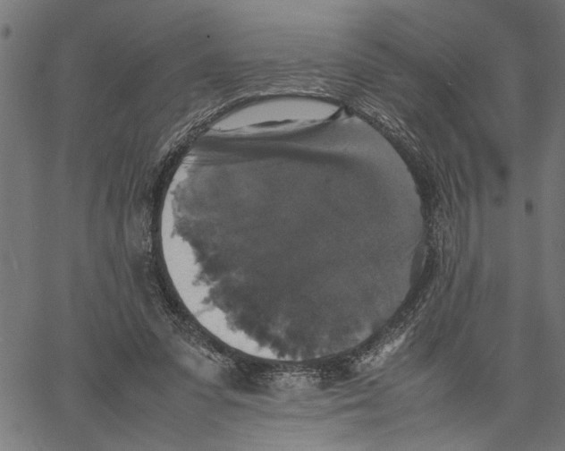 X0000062150303200601060956