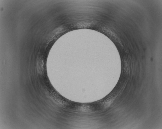 X0000062150308200601060956