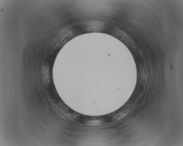 X0000062150312200601060956