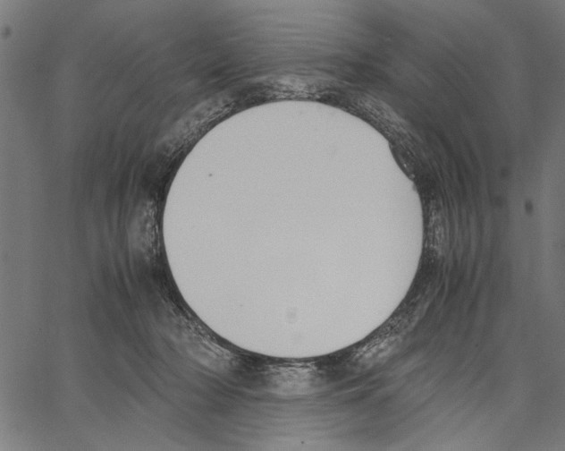 X0000062150318200601060956