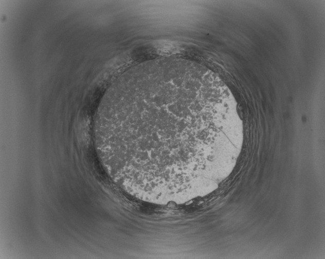 X0000062150319200601060955