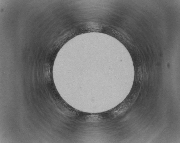 X0000062150320200601060955
