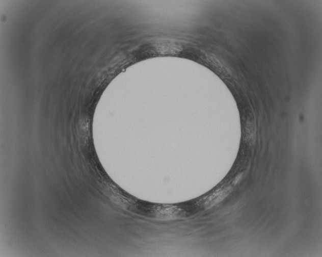 X0000062150321200601060955