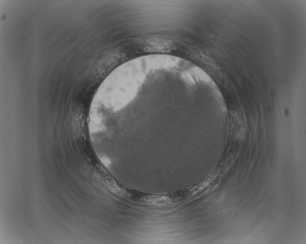 X0000062150322200601060955