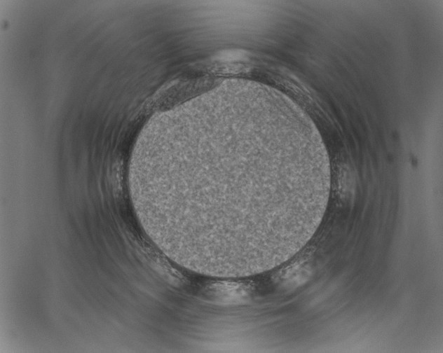 X0000062150326200601060955