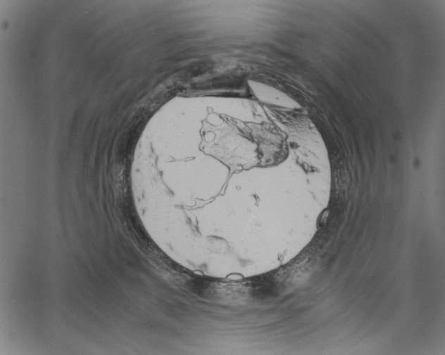 X0000062150327200601060955