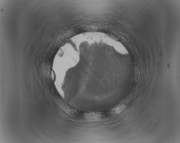 X0000062150331200601060955