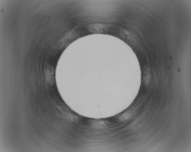 X0000062150332200601060955