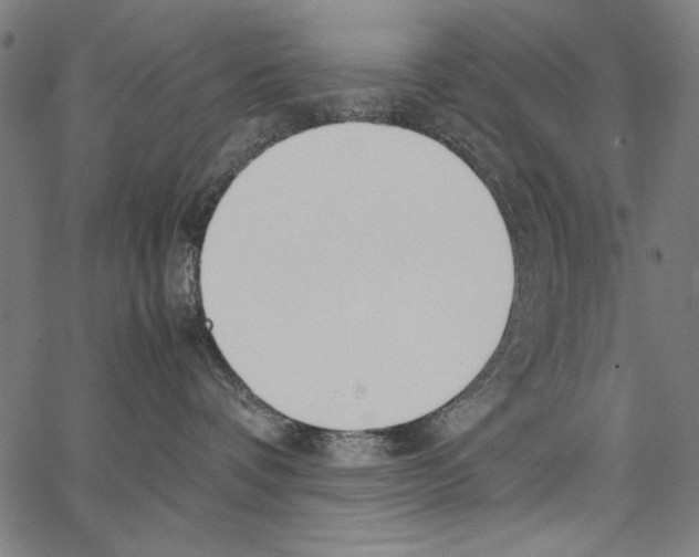 X0000062150336200601060955