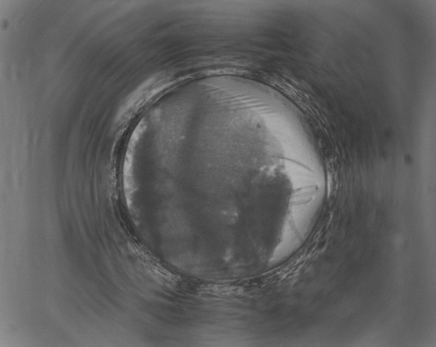 X0000062150339200601060954