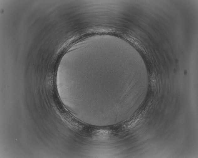 X0000062150352200601060955