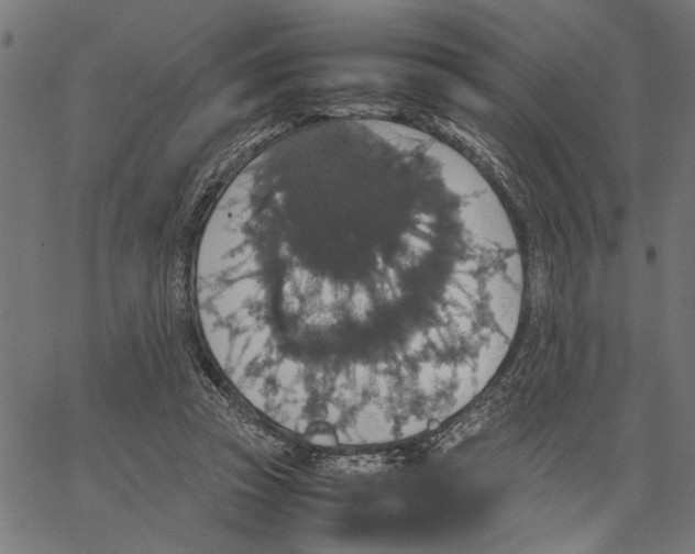 X0000062150353200601060955