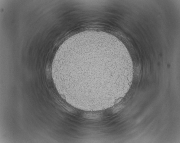 X0000062150381200601060955