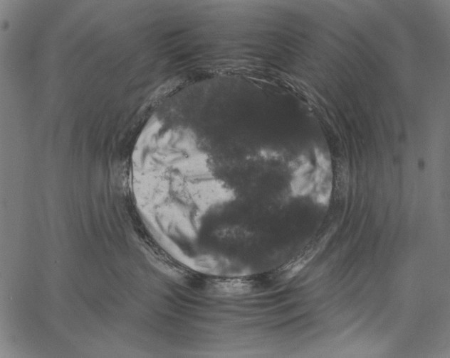 X0000062150383200601060955