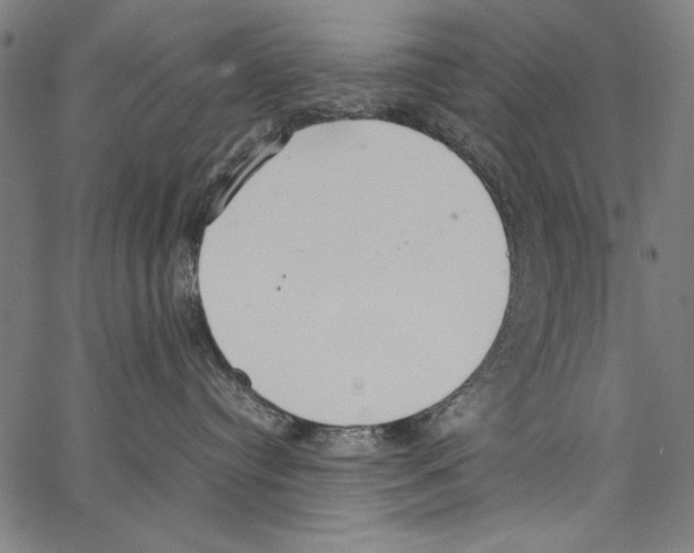 X0000062150384200601060955