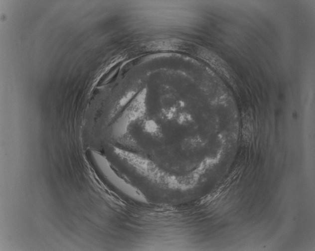 X0000062150386200601060954