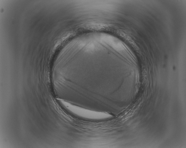 X0000062150399200601060954