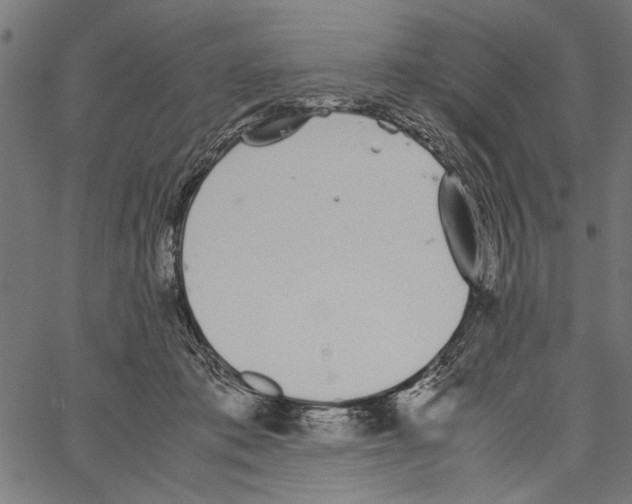 X0000062150413200601060954