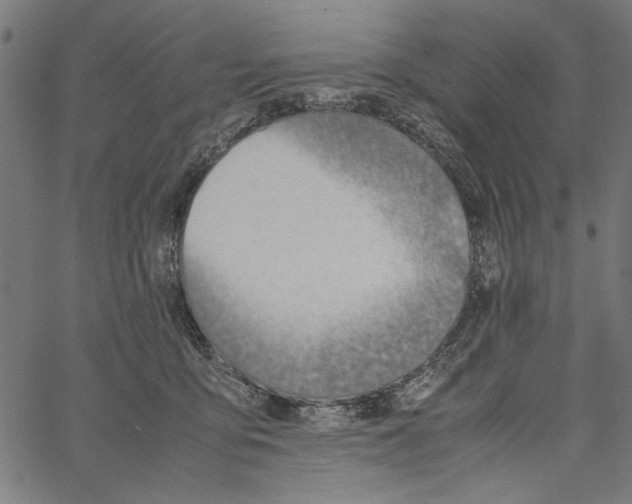 X0000062150419200601060954