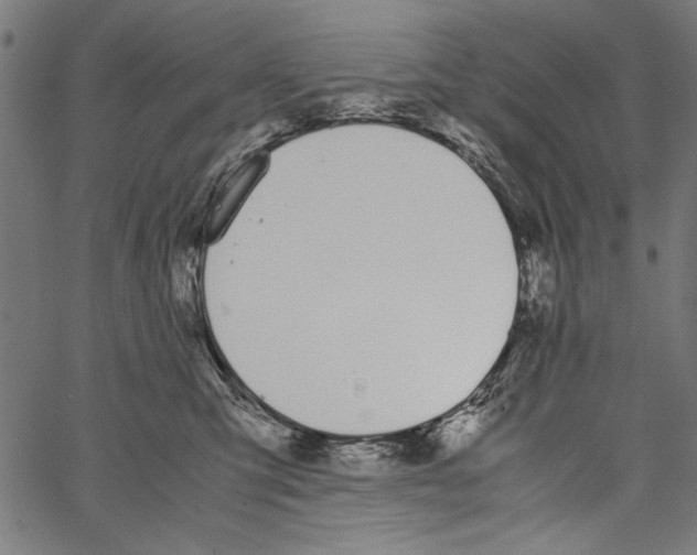 X0000062150423200601060954