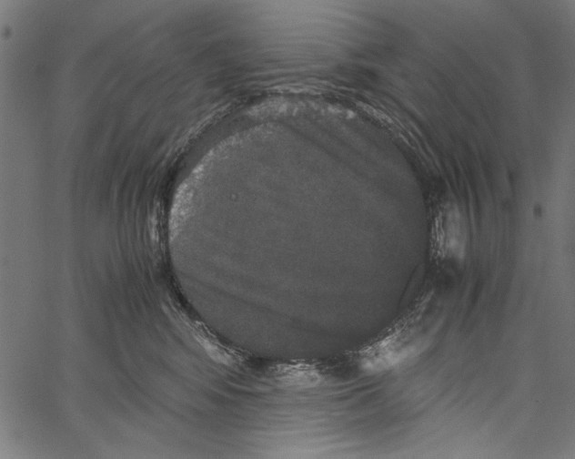 X0000062150424200601060954