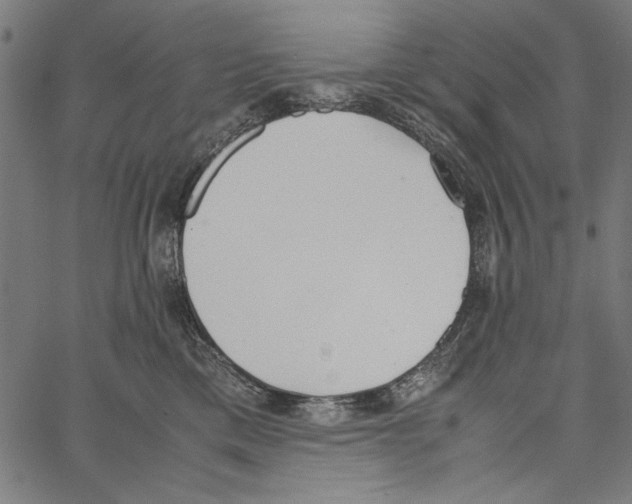 X0000062150425200601060954