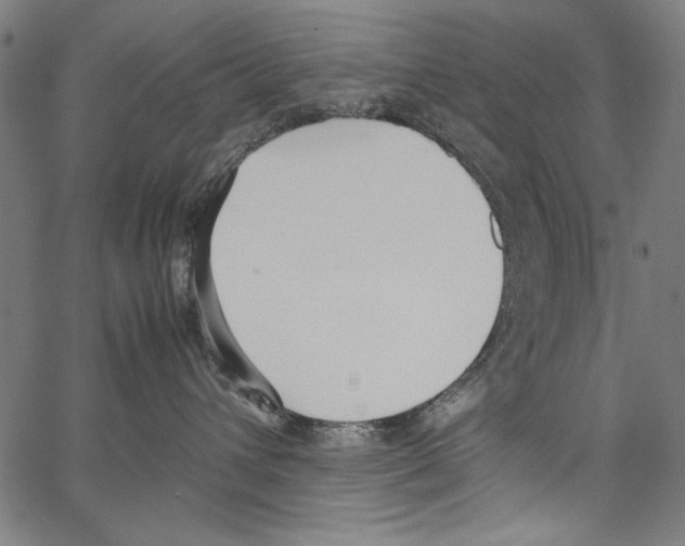 X0000062150432200601060954