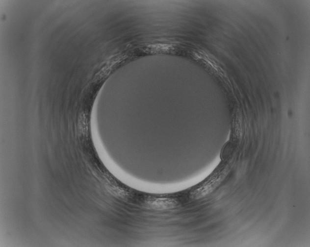 X0000062150467200601060953