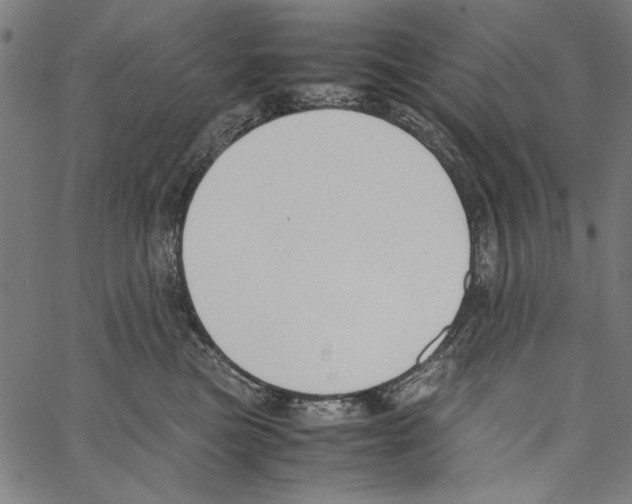 X0000062150473200601060953