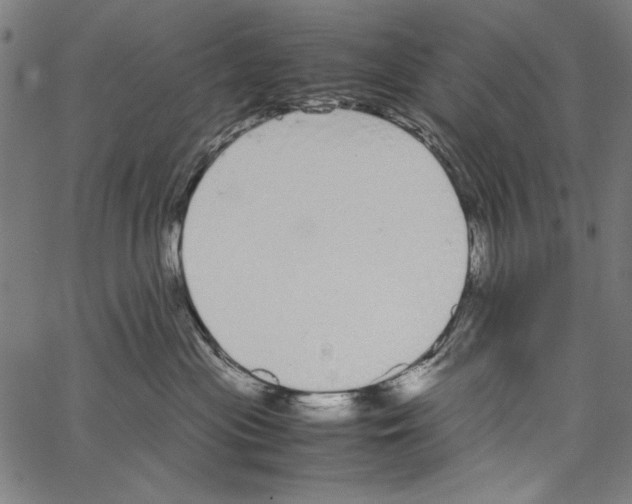 X0000062150477200601060953