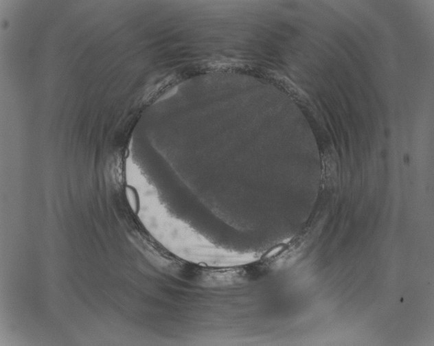 X0000062150479200601060953