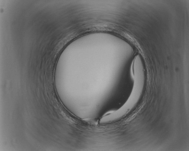 X0000062150481200601060953